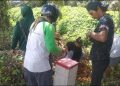 Petinggi PT BSU “Gigit Jari” Saat Panitera Bacakan Penetapan Konstatering
