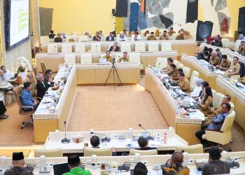 Saat Raker, RDP dan RDPU Bersama Komisi II DPR RI, Gubernur Al Haris Terus Perjuangkan Nasib P3K Penuh Waktu dan Paruh Waktu