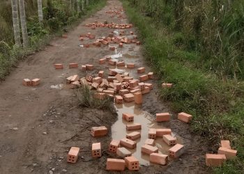 Viral Foto Jalan Rusak Disebut Hoaks, Warga Rantau Rasau Ungkap Fakta Sebenarnya: Kami Patungan Beli Batu