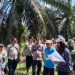 Hakim PN Sengeti Gelar Pemeriksaan Setempat Sengketa Lahan di Desa Tarikan