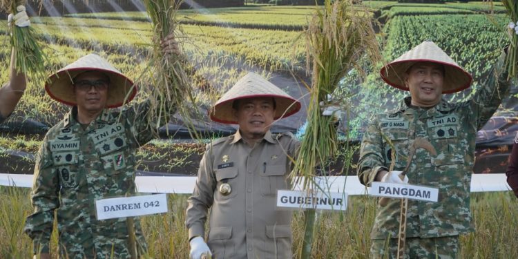 Gubernur Al Haris Hadiri Panen Raya TNI di Desa Kota Baru Geragai, Dukung Ketahanan Pangan