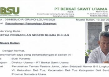 Panik, Berbagai Upaya Penundaan ditempuh, Dirut PT BSU Minta PN Ma Bulian Menunda Eksekusi