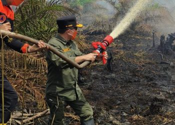 Turun Langsung Padamkan Karhutla di Air Merah, Gubernur Al Haris: Api Sudah 3 Hari, Gambut Sulit Dipadamkan