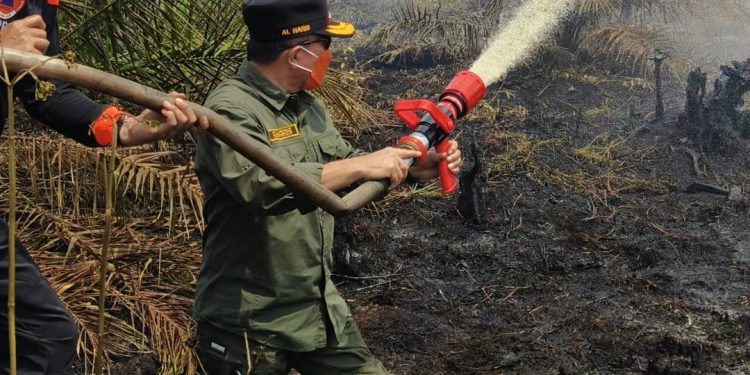 Turun Langsung Padamkan Karhutla di Air Merah, Gubernur Al Haris: Api Sudah 3 Hari, Gambut Sulit Dipadamkan