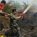 Turun Langsung Padamkan Karhutla di Air Merah, Gubernur Al Haris: Api Sudah 3 Hari, Gambut Sulit Dipadamkan
