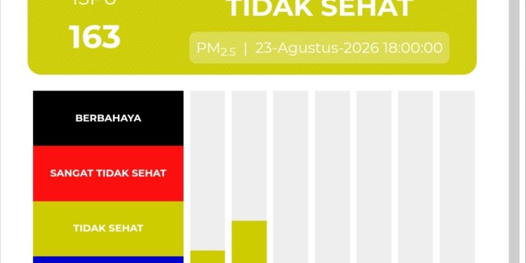 Dampak Kabut Asap Akibat Kebakaran Hutan dan Lahan, Kualitas Udara Muaro Jambi Memburuk ke Level Tidak Sehat