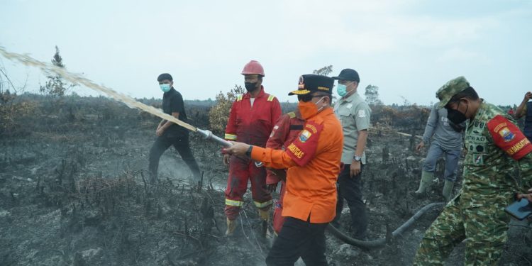 Gubernur Al Haris Berjibaku Padamkan Karhutla di Muaro Jambi, Dorong Masyarakat Manfaatkan Program PLTB