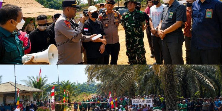 Upaya Gagalkan Eksekusi, PT BSU Sewa Preman, Mobilisasi SAD dan Kerahkan Ribuan Karyawan