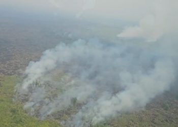 Kabut Asap Karhutla Makin Tebal, Muaro Jambi Masuk Kategori Sangat Tidak Sehat, ISPU Capai 231