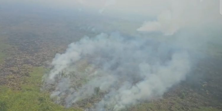 Kabut Asap Karhutla Makin Tebal, Muaro Jambi Masuk Kategori Sangat Tidak Sehat, ISPU Capai 231