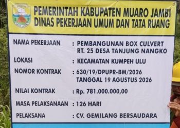 Baru Dibangun Sudah Dibongkar, Proyek Jembatan Box Culvert Rp781 Juta di Kasang Pudak Disorot Warga